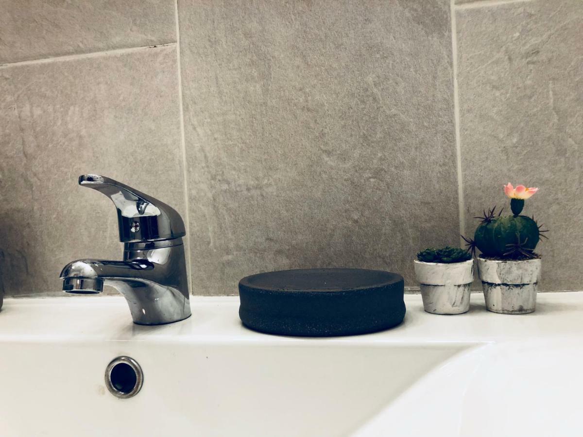 Cactus Lodge コラレホ エクステリア 写真