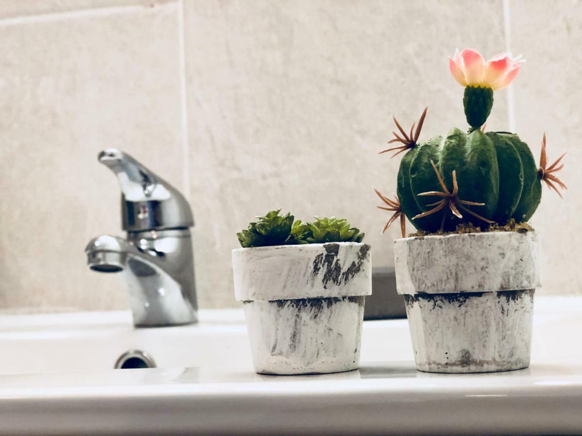 Cactus Lodge コラレホ エクステリア 写真